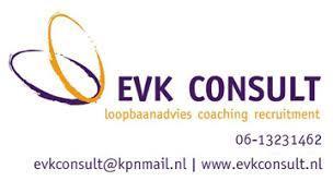 EVK Consult